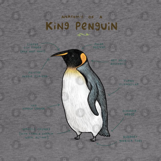 Anatomy of a King Penguin by Sophie Corrigan